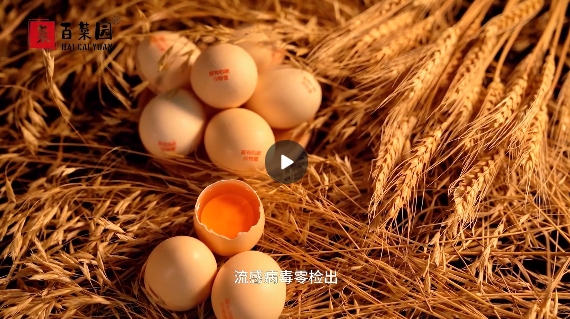 &#30343;&#20896;